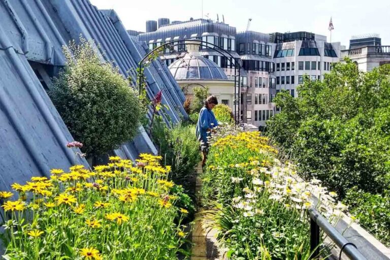 Rooftop Gardens in Singapore: Transforming Urban Spaces into Green Havens